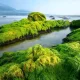 Gềnh đá Nam Ô, Liên Chiểu, Đà Nẵng